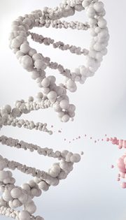 Консультація генетика